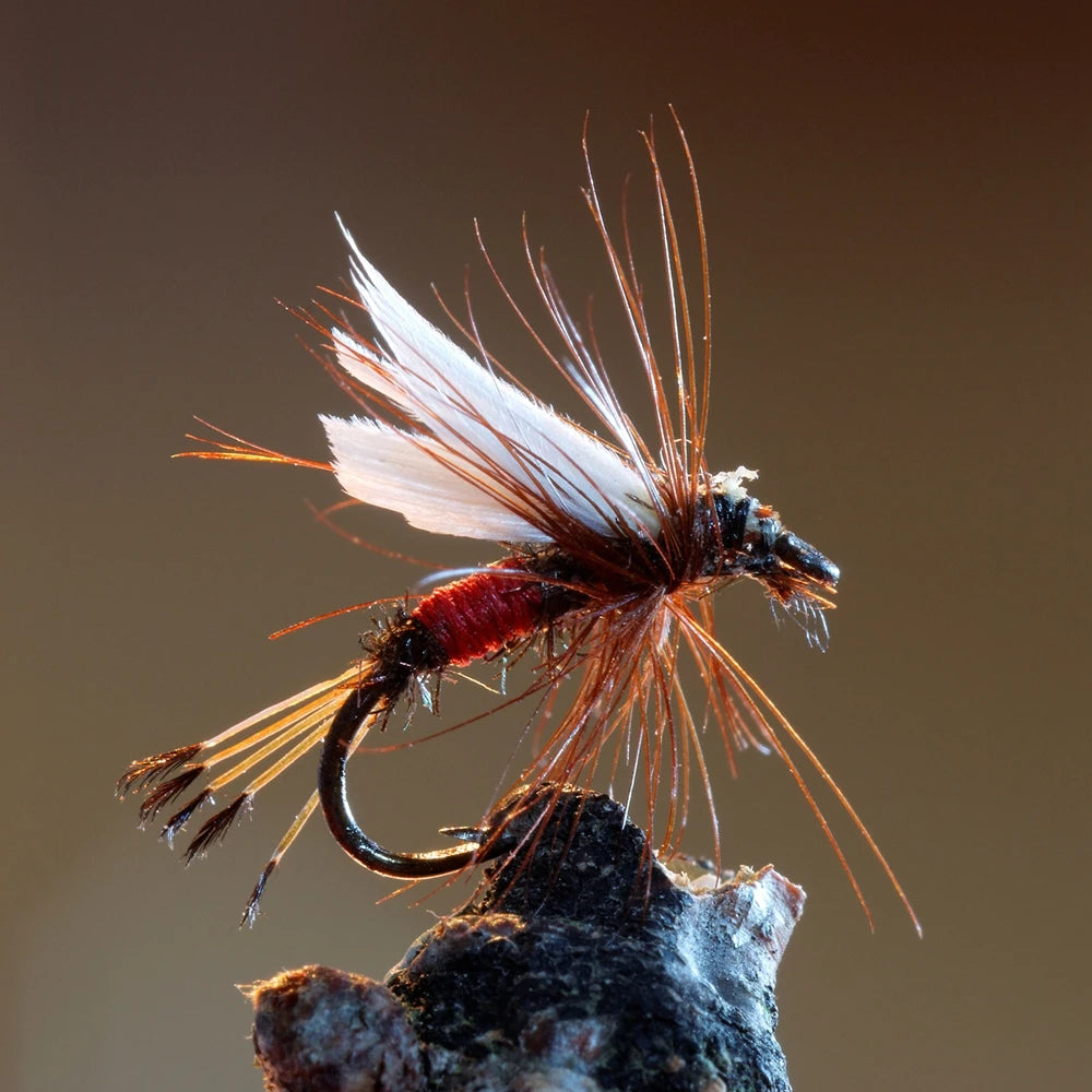 Fly Fishing Kit with Nymph Dry Wet Flies
