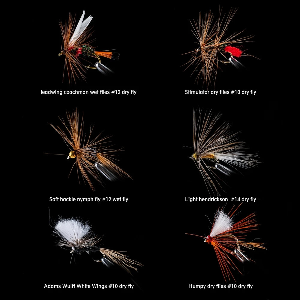 Fly Fishing Kit with Nymph Dry Wet Flies