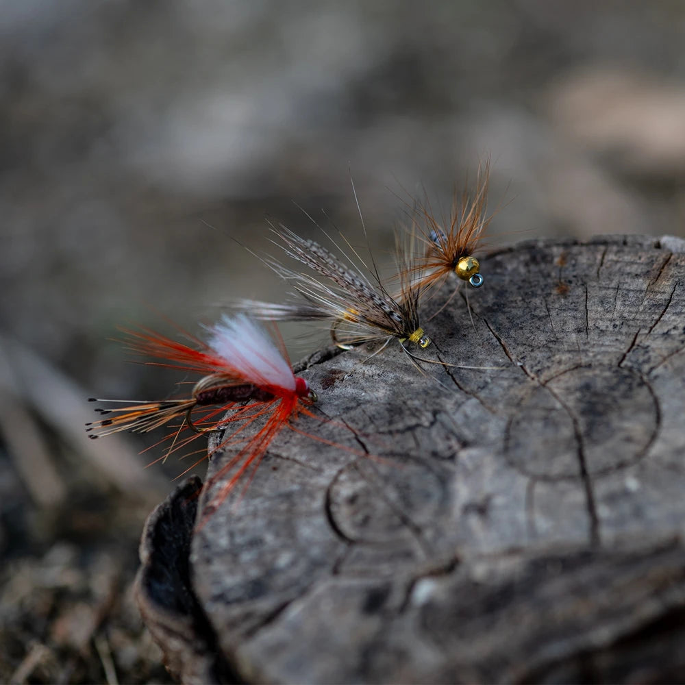 Fly Fishing Kit with Nymph Dry Wet Flies